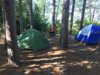 Camp.jpg
