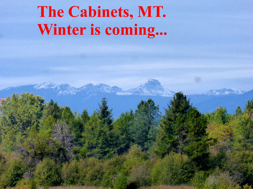 A cabinets again.JPG
