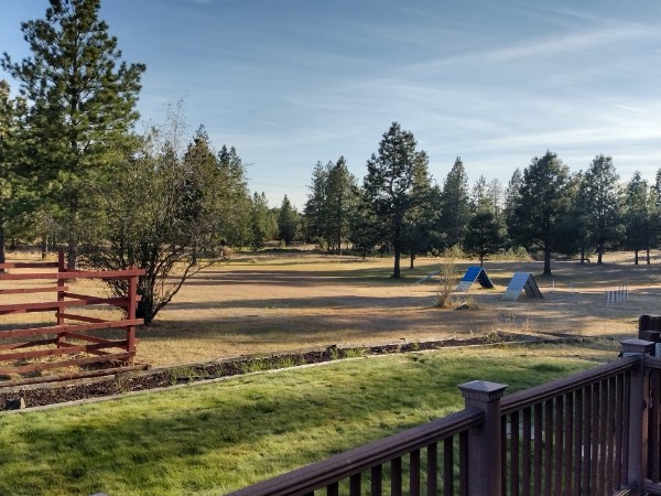 IMG_20250809_184831659_HDR_copy_600x450.jpg