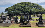 a japanese cemetery.jpg
