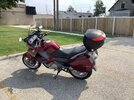 IMG_1467.jpeg