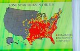1000004236 (1).jpg