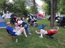 IMG_20150710_203129.jpg