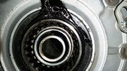 20151025_174036.jpg
