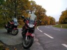IMG_20201101_123312.jpg