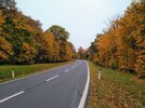 IMG_20201101_123235.jpg