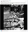 2nd ammendment.jpg